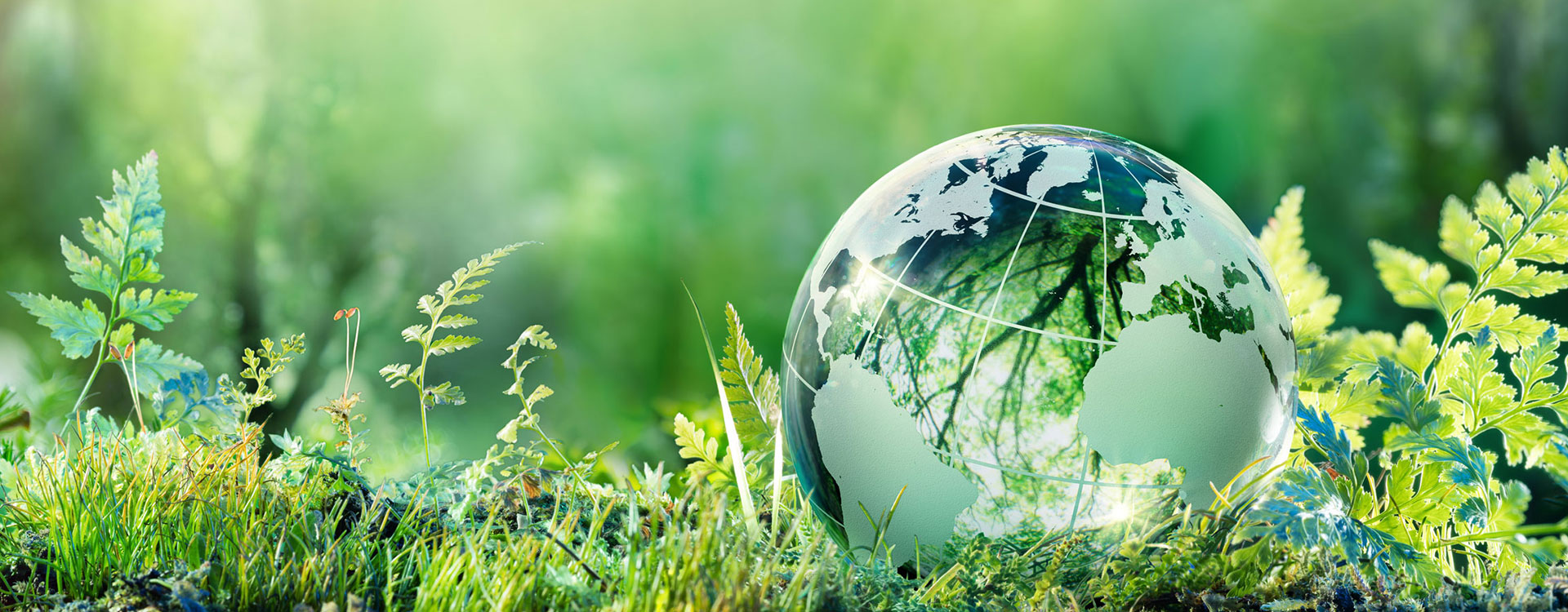 Susbabilidad de los abrasivos FUJISTAR