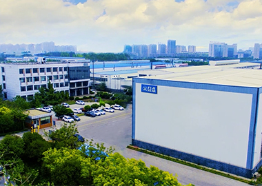 Japón SANKYO RIKAGAKU CO., LTD.