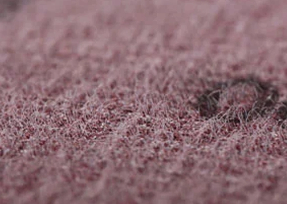 ¿Por qué elegir discos de lijado de FUJISTAR?